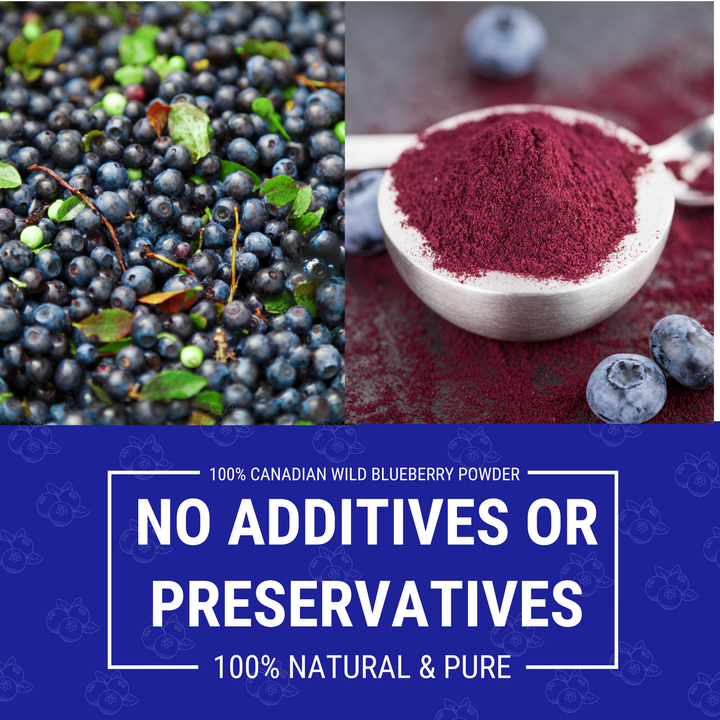 Wild Blueberry Powder – Vibrant Sea