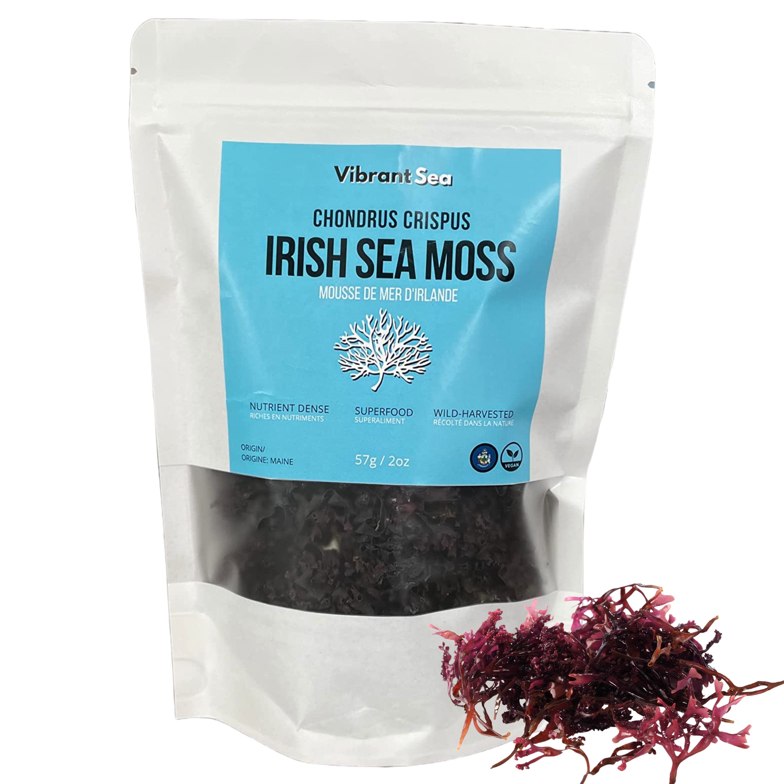 Irish Sea Moss – Vibrant Sea